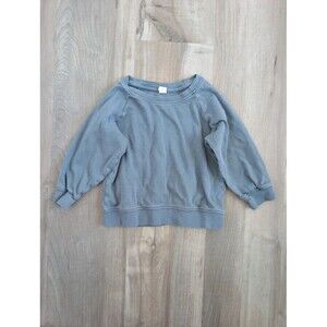 Colored Organics Slate Grey Crewneck Sweatshirt, 4T (U2)